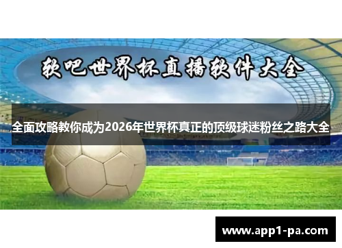 全面攻略教你成为2026年世界杯真正的顶级球迷粉丝之路大全