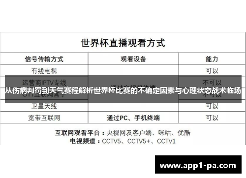 从伤病判罚到天气赛程解析世界杯比赛的不确定因素与心理状态战术临场