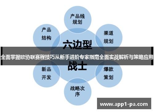 全面掌握欧协联赛程技巧从新手进阶专家指南全面实战解析与策略应用